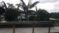 Eco Sanctuary (D23), Condominium #155335272